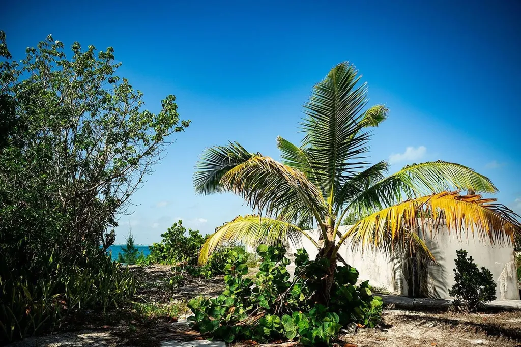 Sailor's Rest Abaco BS