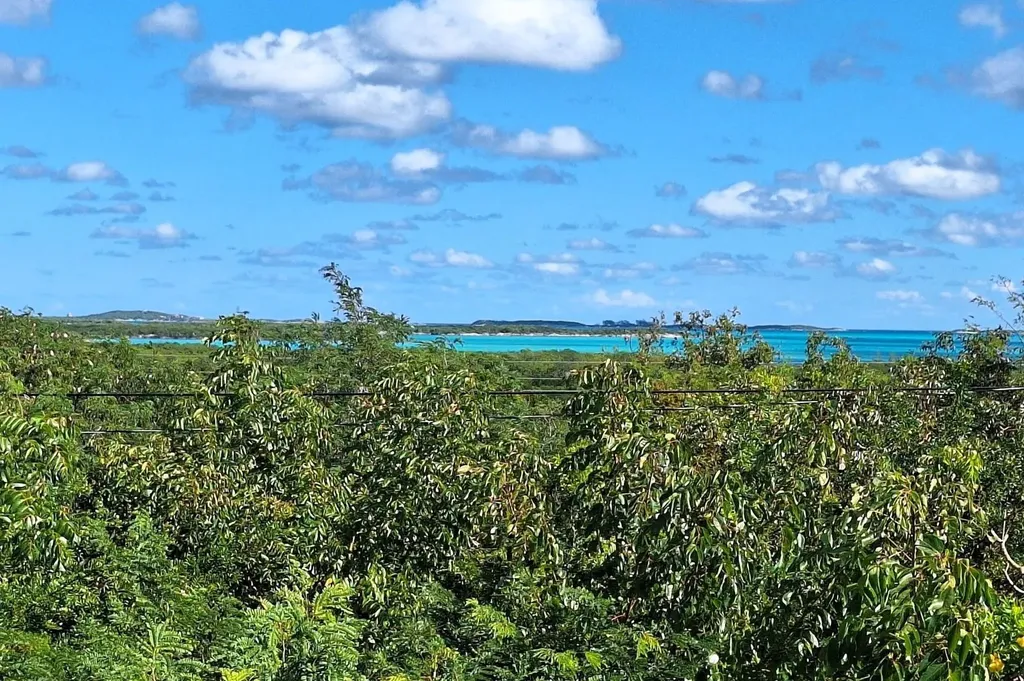 Flamingo Road 11west Exuma BS
