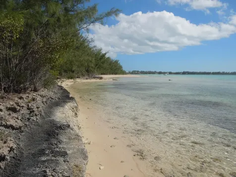 Whale Point Estates Eleuthera BS