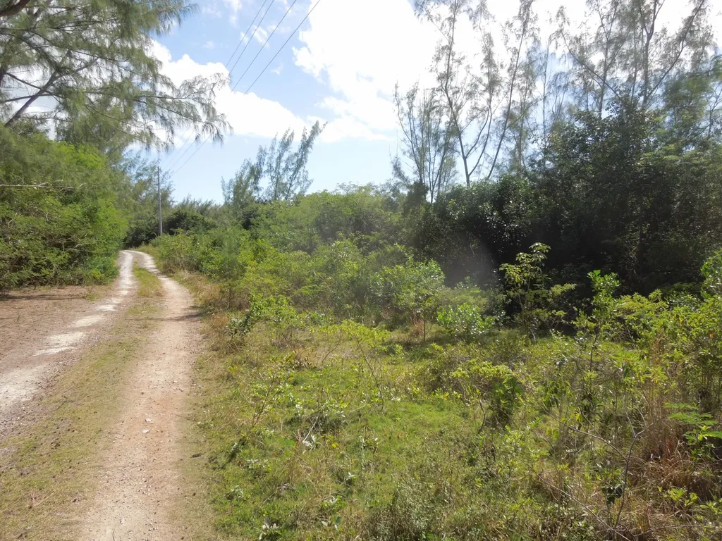 Whale Point Estates Eleuthera BS