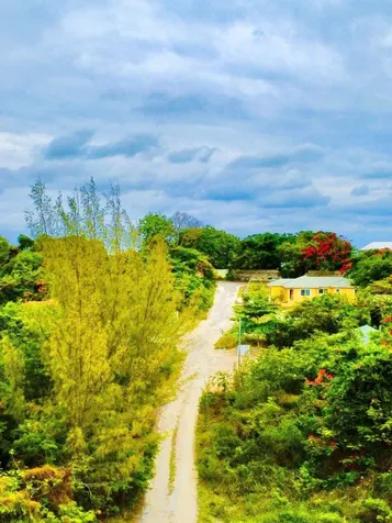 Blackbeards Terrace Lot#1 New Providence Paradise Island BS