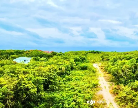 Blackbeards Terrace Lot#1 New Providence Paradise Island BS