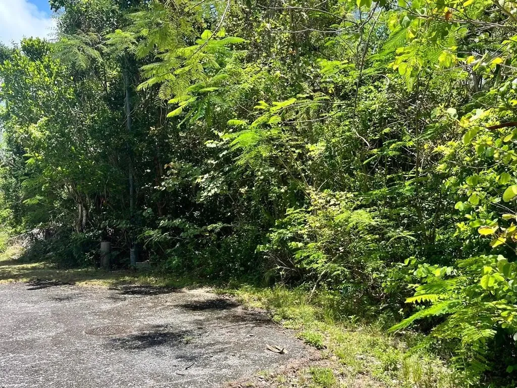 South Ocean Village Lot New Providence Paradise Island BS
