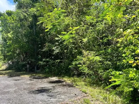South Ocean Village Lot New Providence Paradise Island BS