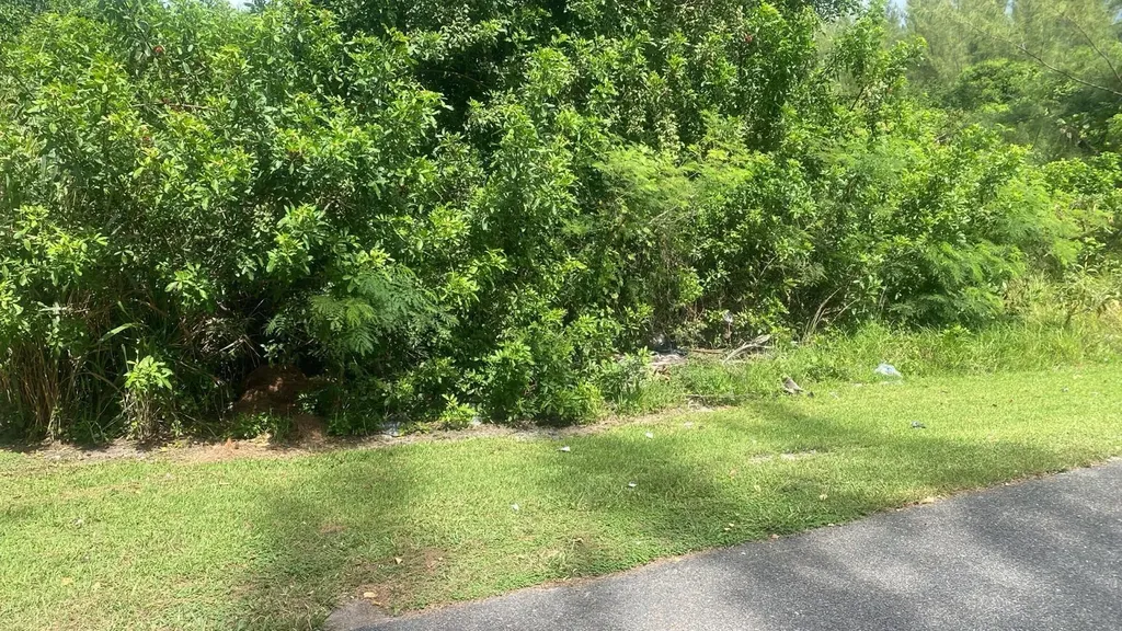 Coral Harbour New Providence Paradise Island BS