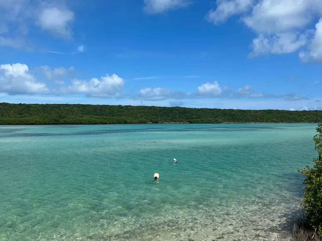 Windermere Eleuthera BS