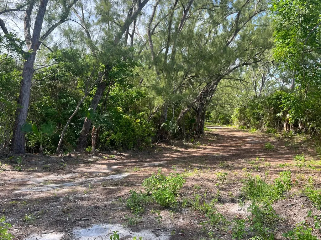 Windermere Eleuthera BS