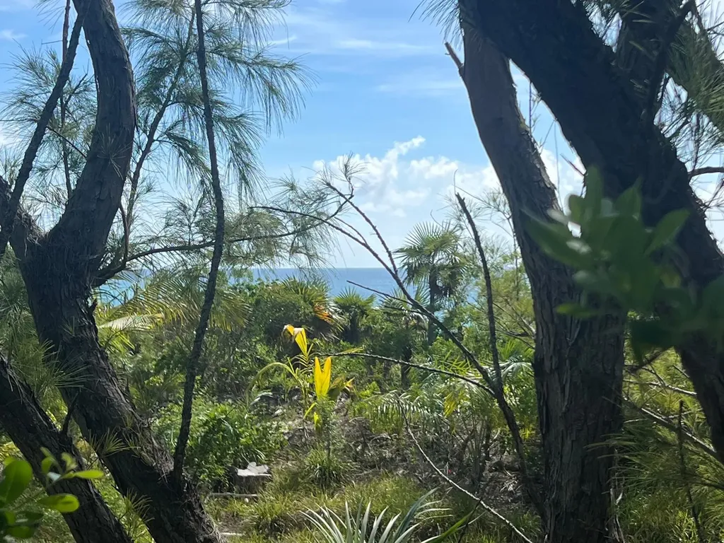 Windermere Eleuthera BS