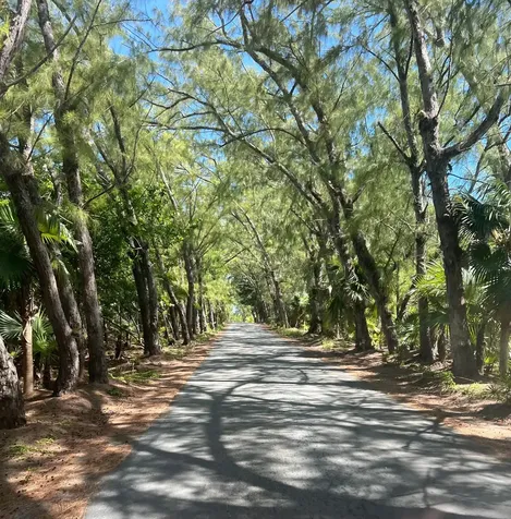 Windermere Eleuthera BS