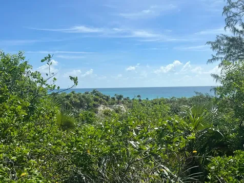 Windermere Eleuthera BS