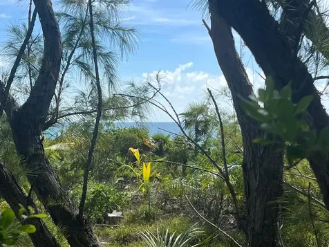 Windermere Eleuthera BS