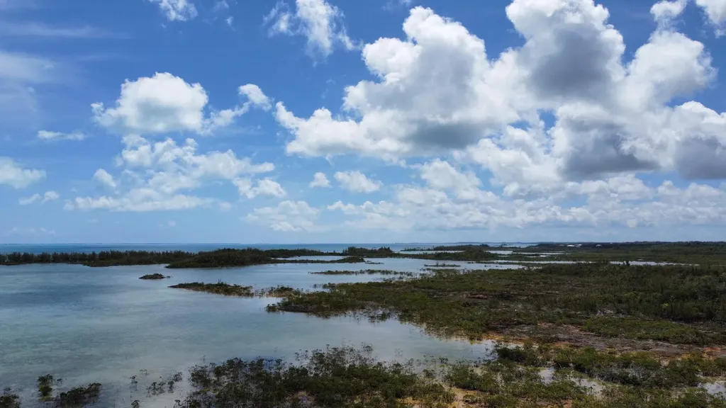 Hills Creek Sc Bootle Hig Abaco BS
