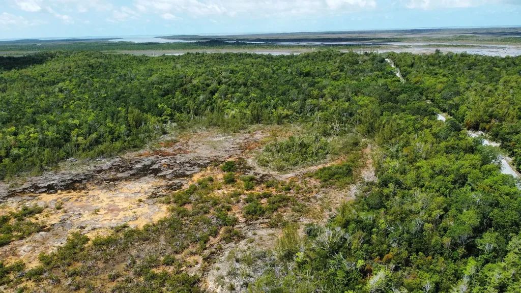 Hills Creek Sc Bootle Hig Abaco BS