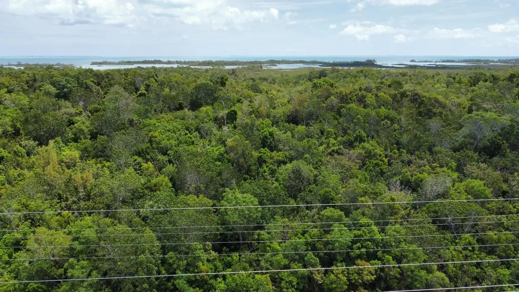 Hills Creek Sc Bootle Hig Abaco BS