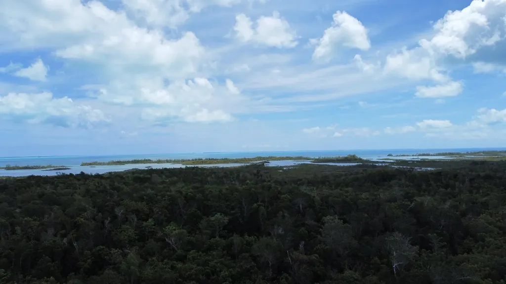 Hills Creek Sc Bootle Hig Abaco BS