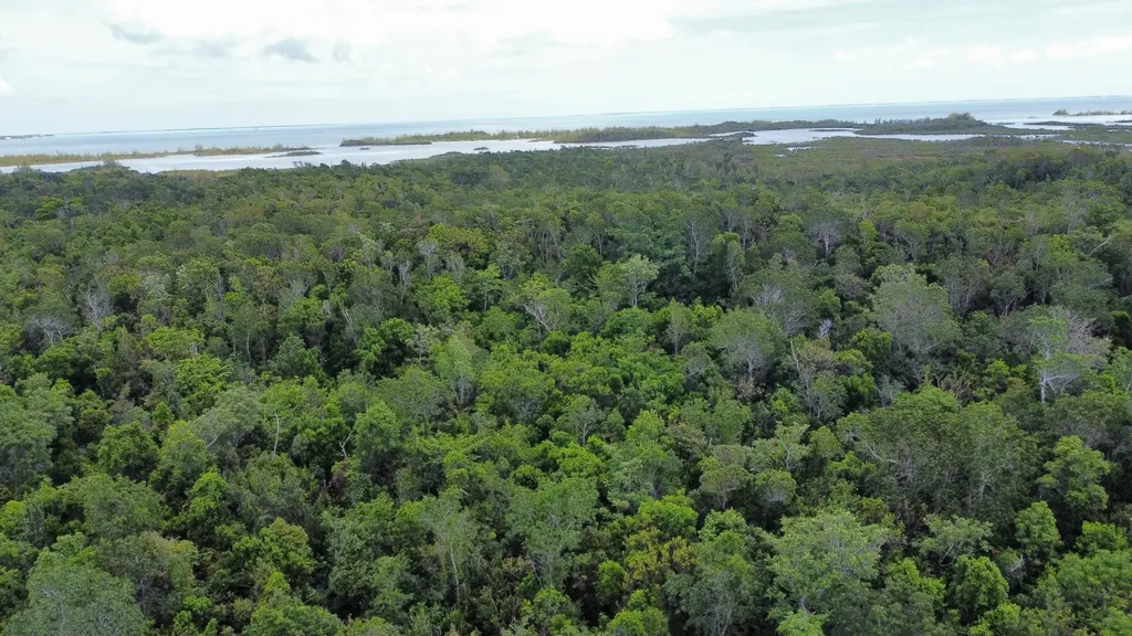 Hills Creek Sc Bootle Hig Abaco BS