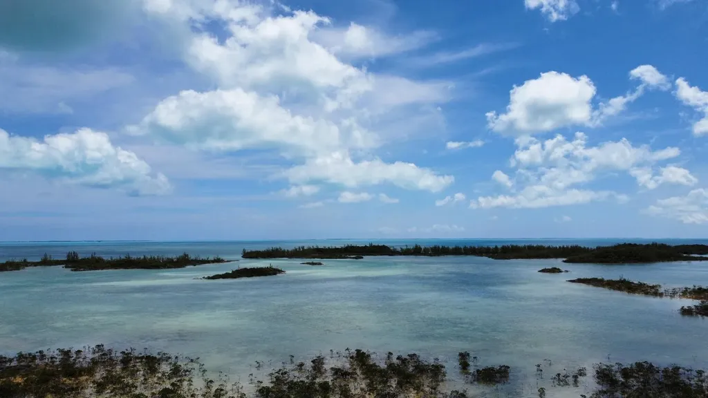 Hills Creek Sc Bootle Hig Abaco BS