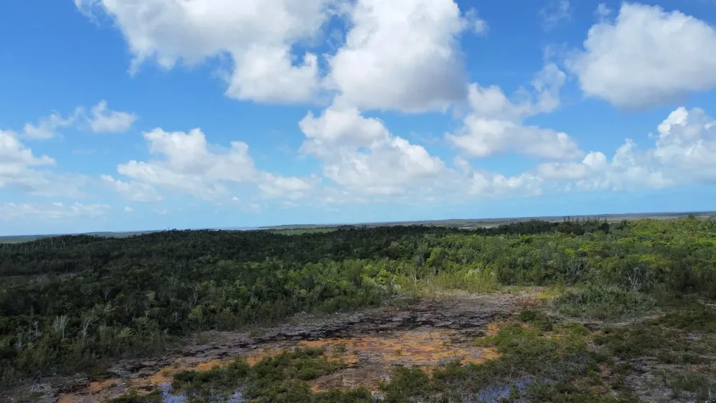 Hills Creek Sc Bootle Hig Abaco BS