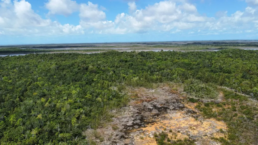 Hills Creek Sc Bootle Hig Abaco BS