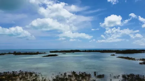 Hills Creek Sc Bootle Hig Abaco BS