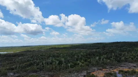 Hills Creek Sc Bootle Hig Abaco BS