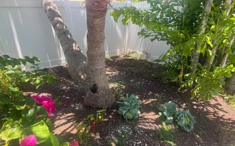 Aquamarine Close East New Providence Paradise Island BS