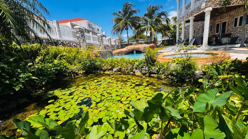 Paul Cay New Providence Paradise Island BS