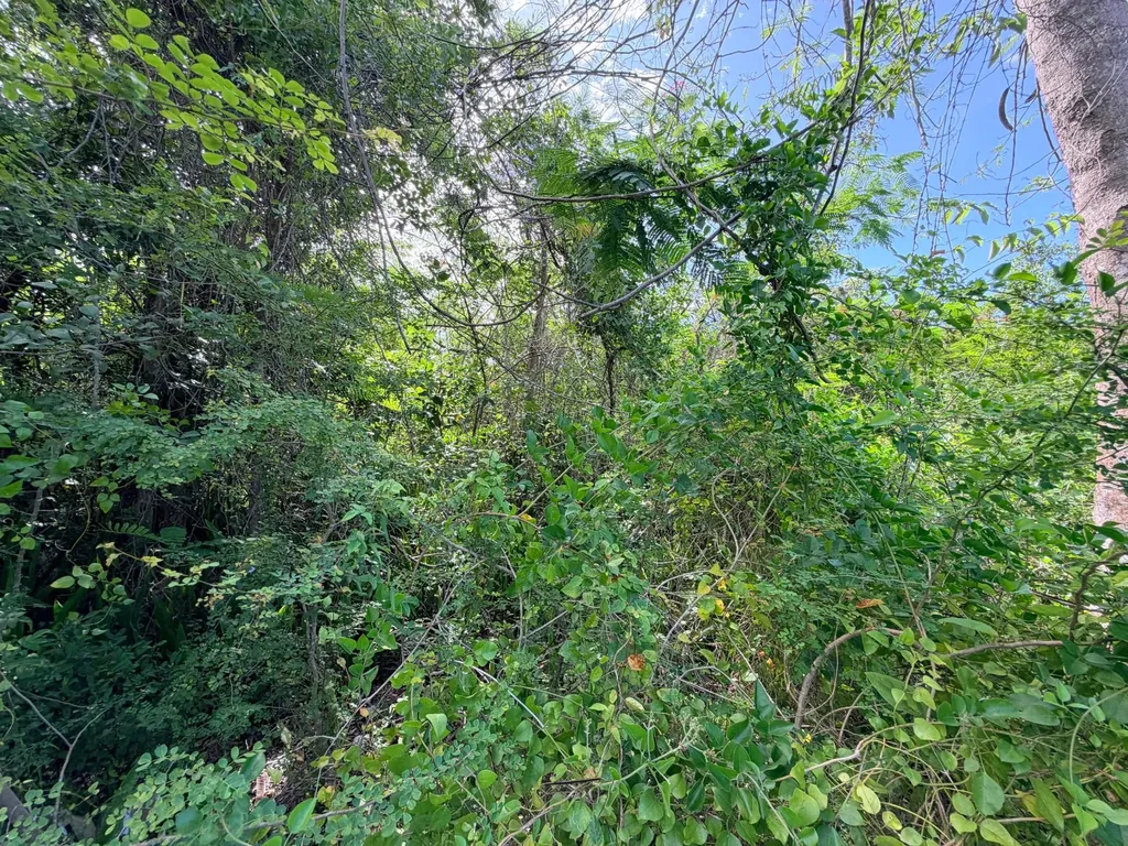 Lot 182 Westridge Estates New Providence Paradise Island BS