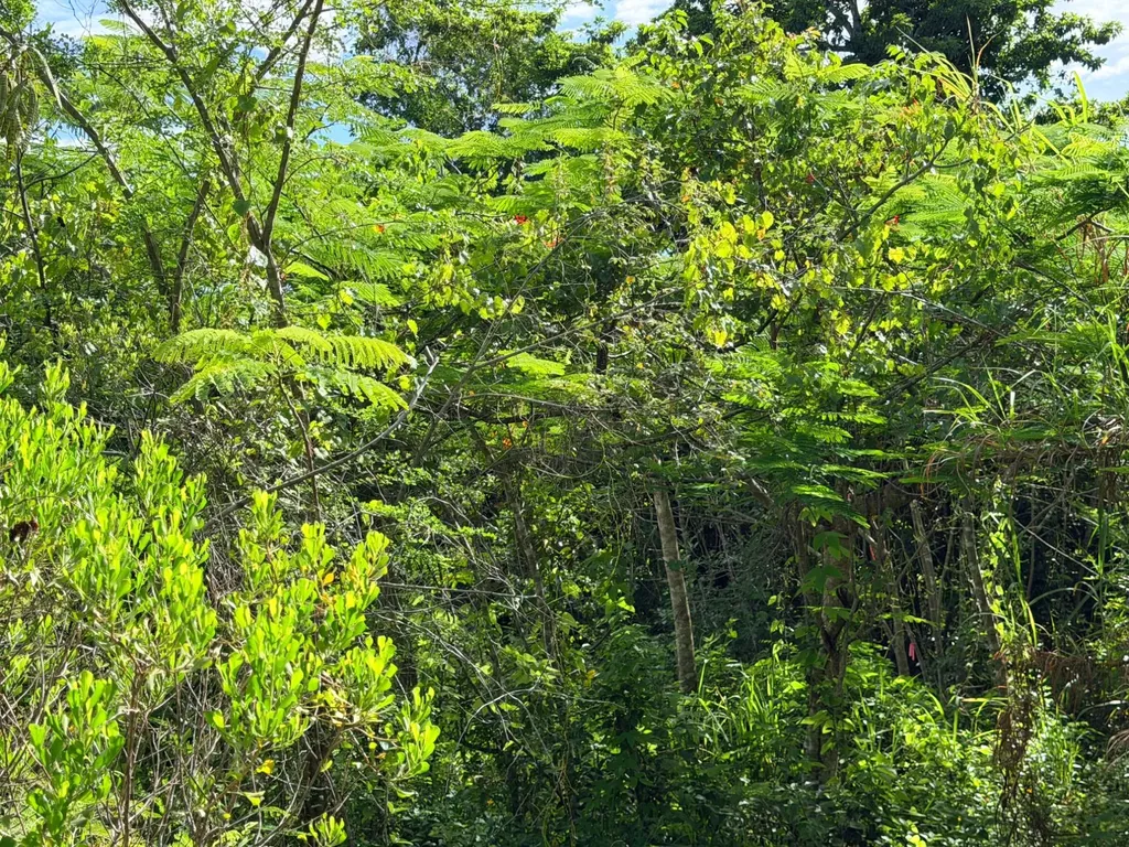 Lot 182 Westridge Estates New Providence Paradise Island BS