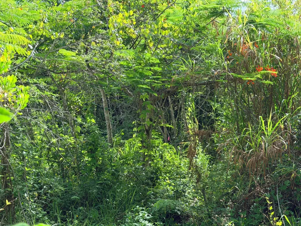 Lot 182 Westridge Estates New Providence Paradise Island BS