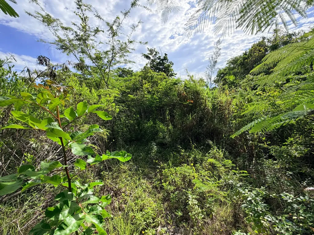 Lot 182 Westridge Estates New Providence Paradise Island BS
