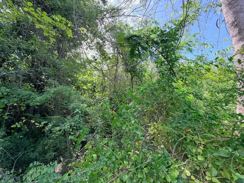 Lot 182 Westridge Estates New Providence Paradise Island BS