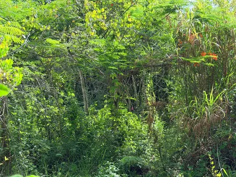 Lot 182 Westridge Estates New Providence Paradise Island BS