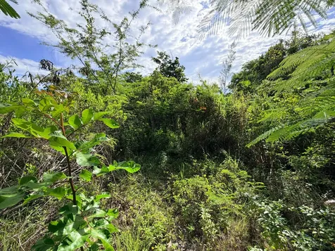 Lot 182 Westridge Estates New Providence Paradise Island BS