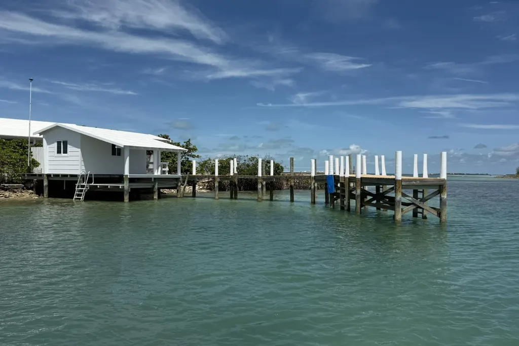 Dilly Cay Mow Abaco BS