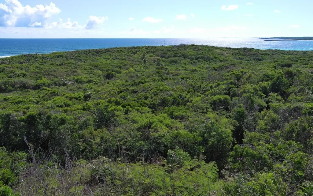 Oceanview Lot Scrub Hill Long Island BS