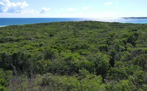 Oceanview Lot Scrub Hill Long Island BS