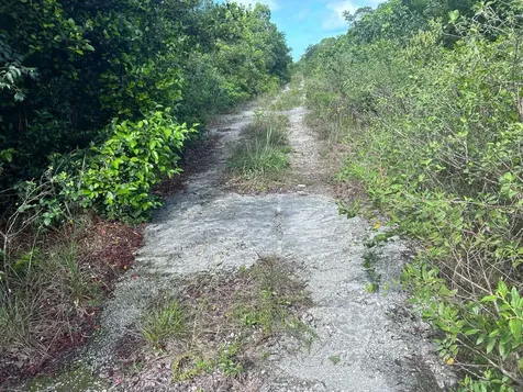 Ocean Front Tract Eleuthera BS