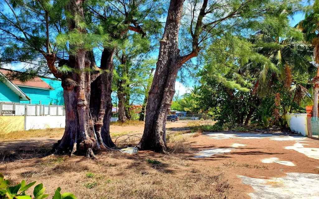 Seafoam, West Bay Street New Providence Paradise Island BS