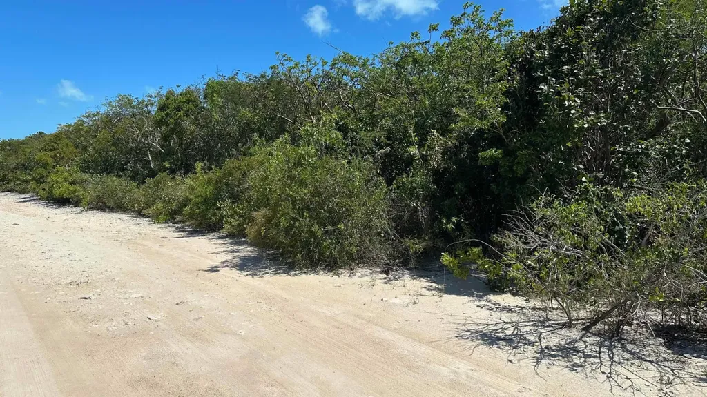 Bahama Island Beach 3 804 Exuma BS