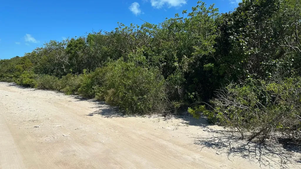 Bahama Island Beach 3 803 Exuma BS