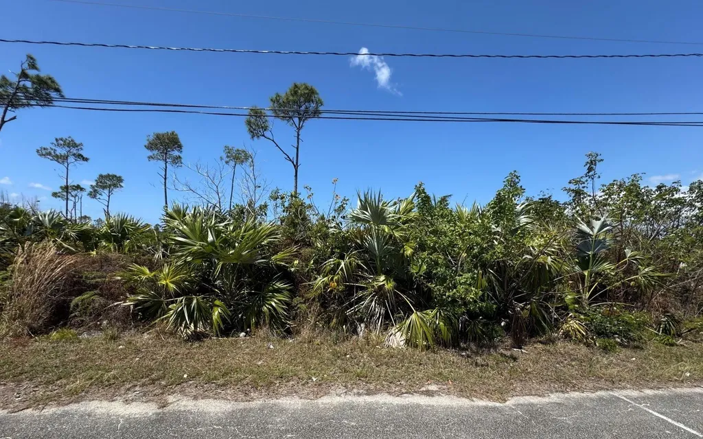 Lot 9, Columbus Way Grand Bahama Freeport BS