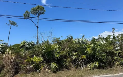Lot 9, Columbus Way Grand Bahama Freeport BS