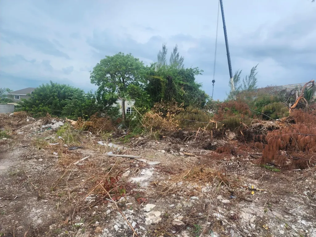 Twynam Heights Drive New Providence Paradise Island BS