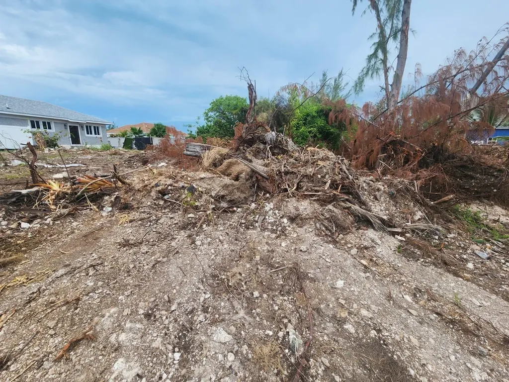 Twynam Heights Drive New Providence Paradise Island BS