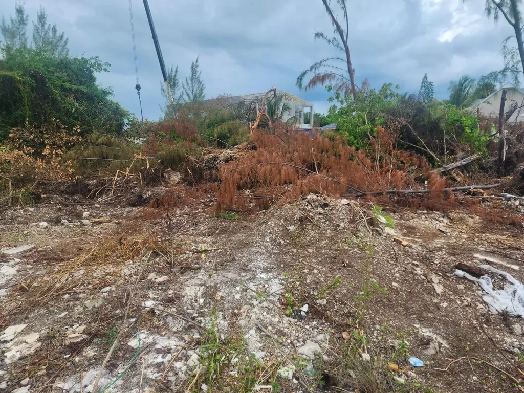 Twynam Heights Drive New Providence Paradise Island BS
