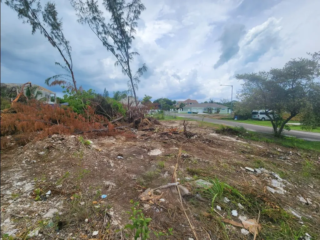 Twynam Heights Drive New Providence Paradise Island BS
