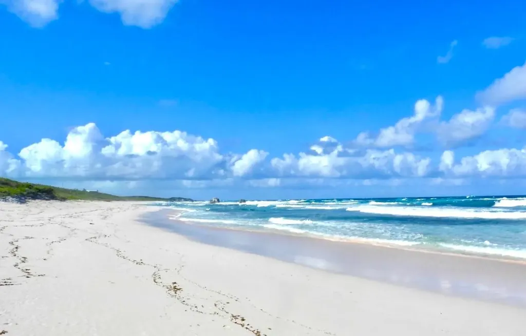 3.67 Acre With Beachfront Long Island BS