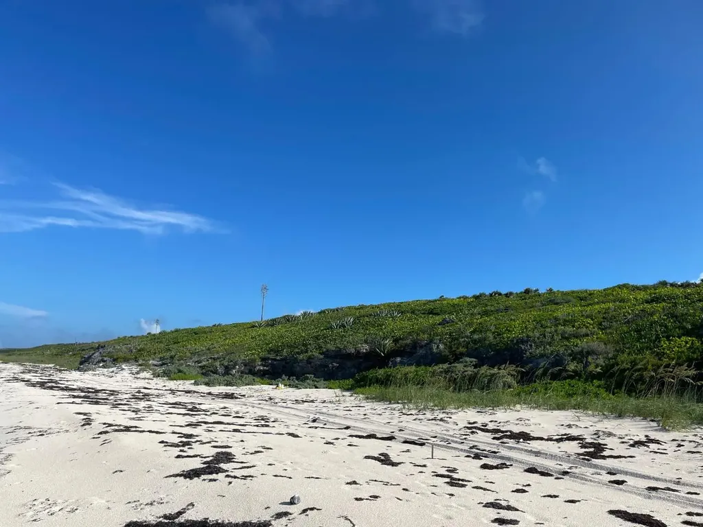 3.67 Acre With Beachfront Long Island BS