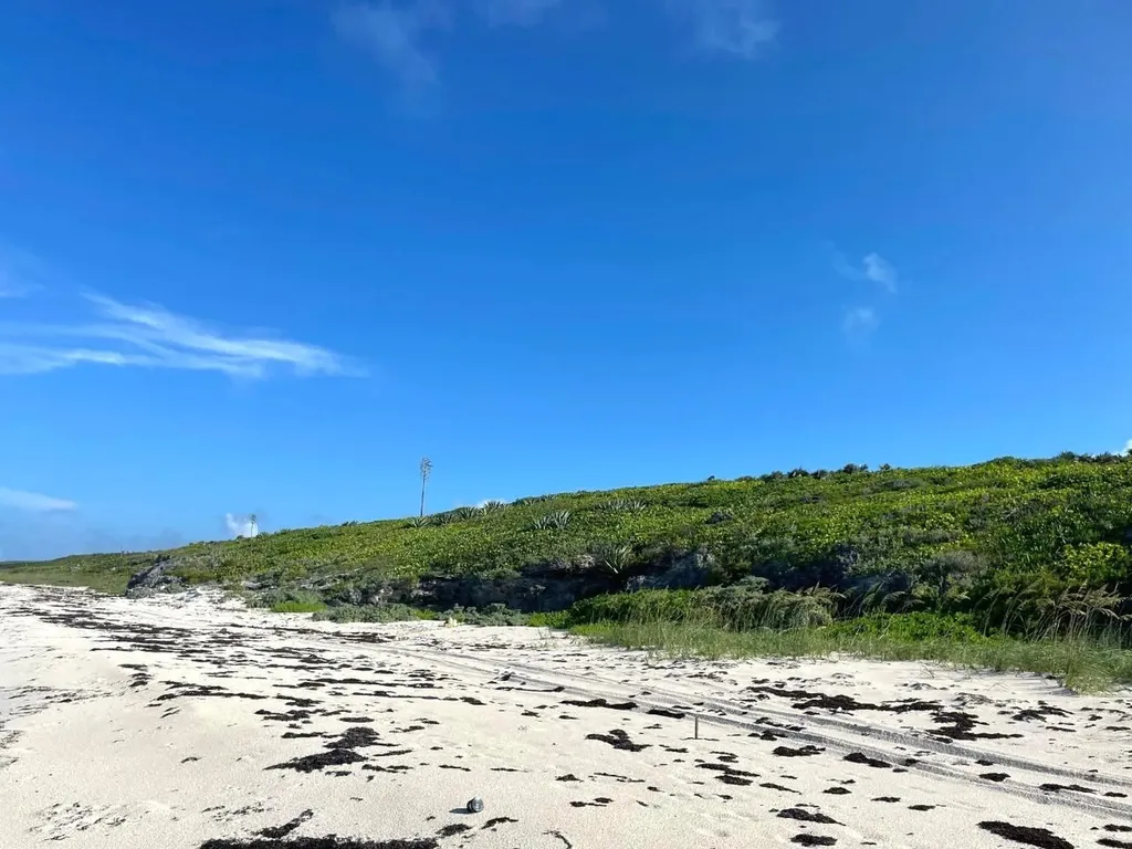 3.67 Acre With Beachfront Long Island BS